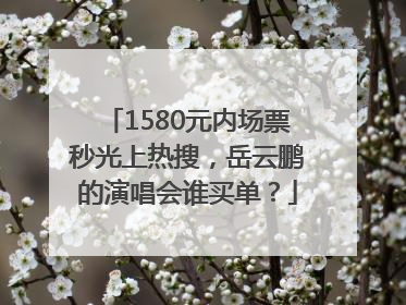 1580元内场票秒光上热搜，岳云鹏的演唱会谁买单？