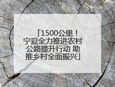 1500公里！宁夏全力推进农村公路提升行动 助推乡村全面振兴