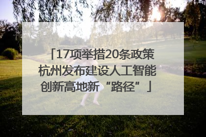 17项举措20条政策 杭州发布建设人工智能创新高地新“路径”