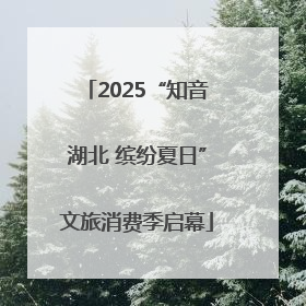 2025“知音湖北 缤纷夏日”文旅消费季启幕