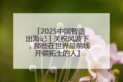 2025中国智造出海记丨关税风波下，那些在世界最前线开疆拓土的人