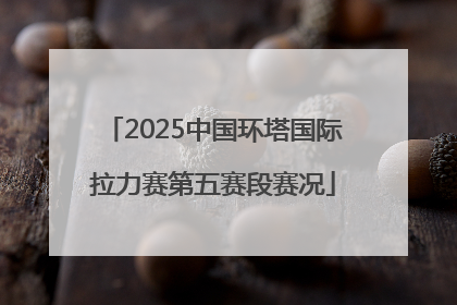 2025中国环塔国际拉力赛第五赛段赛况