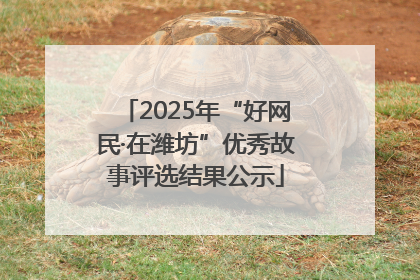 2025年“好网民·在潍坊”优秀故事评选结果公示