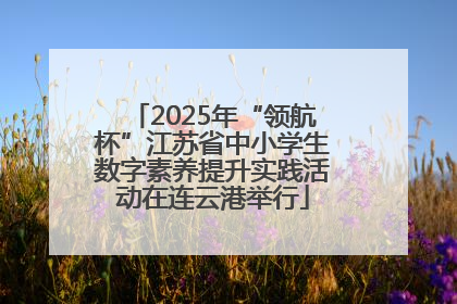 2025年“领航杯”江苏省中小学生数字素养提升实践活动在连云港举行