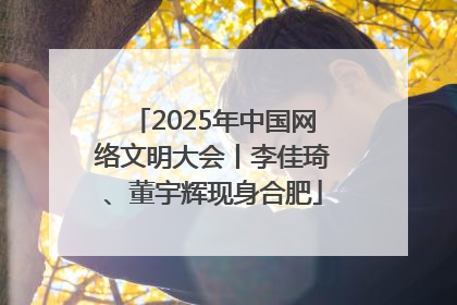 2025年中国网络文明大会丨李佳琦、董宇辉现身合肥