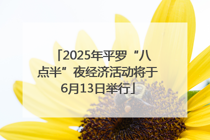 2025年平罗“八点半”夜经济活动将于6月13日举行