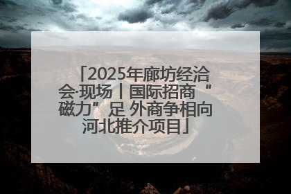 2025年廊坊经洽会·现场丨国际招商“磁力”足 外商争相向河北推介项目