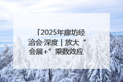 2025年廊坊经洽会·深度｜放大“会展+”乘数效应 打造消费新场景