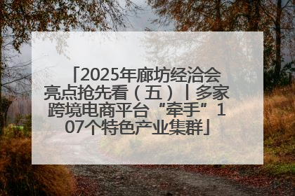 2025年廊坊经洽会亮点抢先看（五）丨多家跨境电商平台“牵手”107个特色产业集群