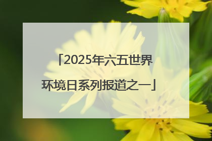 2025年六五世界环境日系列报道之一