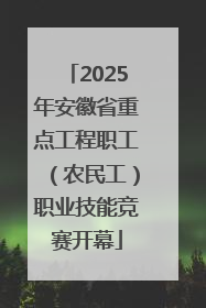 2025年安徽省重点工程职工（农民工）职业技能竞赛开幕