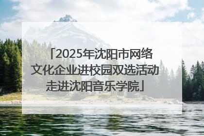 2025年沈阳市网络文化企业进校园双选活动走进沈阳音乐学院