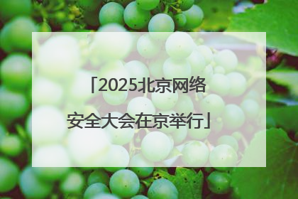 2025北京网络安全大会在京举行
