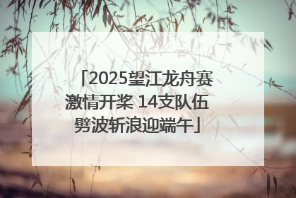 2025望江龙舟赛激情开桨 14支队伍劈波斩浪迎端午