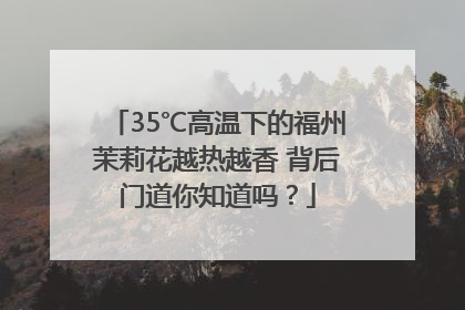 35℃高温下的福州茉莉花越热越香 背后门道你知道吗？