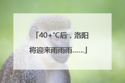 40+℃后，洛阳将迎来雨雨雨……