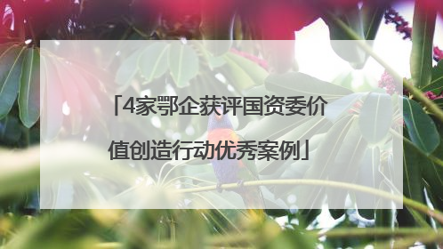 4家鄂企获评国资委价值创造行动优秀案例