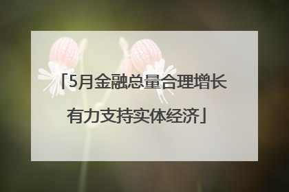 5月金融总量合理增长 有力支持实体经济