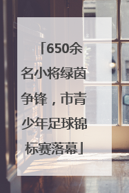 650余名小将绿茵争锋，市青少年足球锦标赛落幕