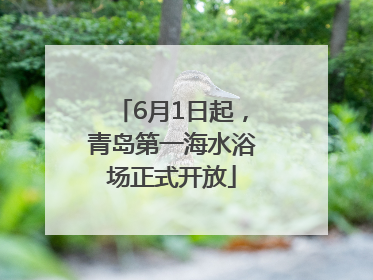 6月1日起，青岛第一海水浴场正式开放