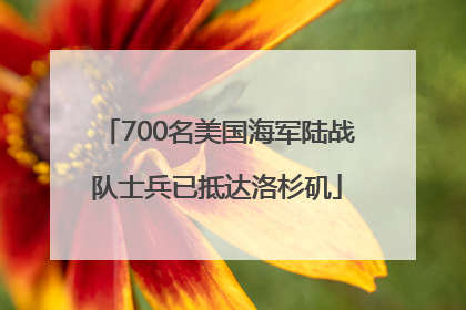 700名美国海军陆战队士兵已抵达洛杉矶