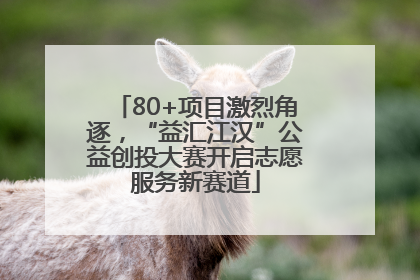 80+项目激烈角逐，“益汇江汉”公益创投大赛开启志愿服务新赛道
