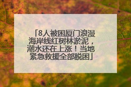 8人被困厦门浪漫海岸线红树林淤泥，潮水还在上涨！当地紧急救援全部脱困