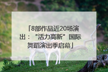 8部作品近20场演出：“活力高新”国际舞蹈演出季启幕