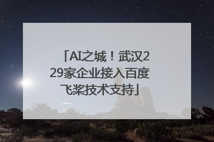 AI之城！武汉229家企业接入百度飞桨技术支持