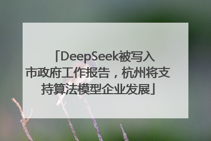 DeepSeek被写入市政府工作报告，杭州将支持算法模型企业发展
