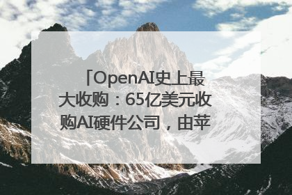 OpenAI史上最大收购：65亿美元收购AI硬件公司，由苹果前设计总监创办
