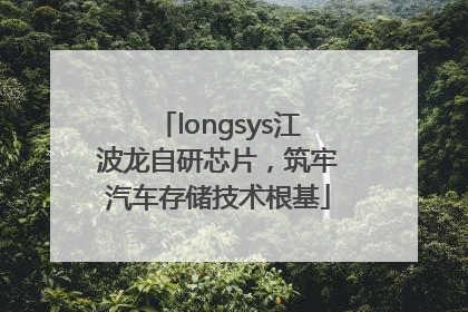 longsys江波龙自研芯片，筑牢汽车存储技术根基
